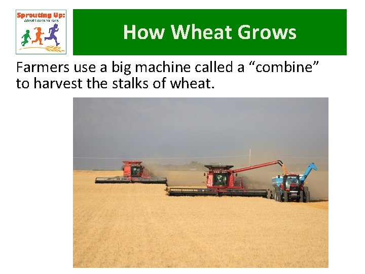 How Wheat Grows Farmers use a big machine called a “combine” to harvest the