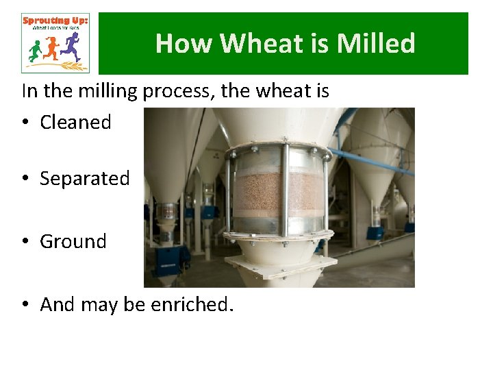 How Wheat is Milled In the milling process, the wheat is • Cleaned •