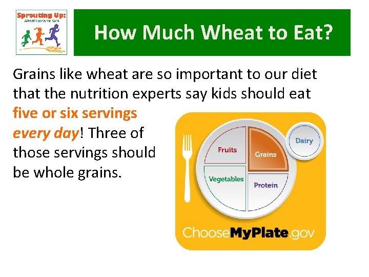 How Much Wheat to Eat? Grains like wheat are so important to our diet