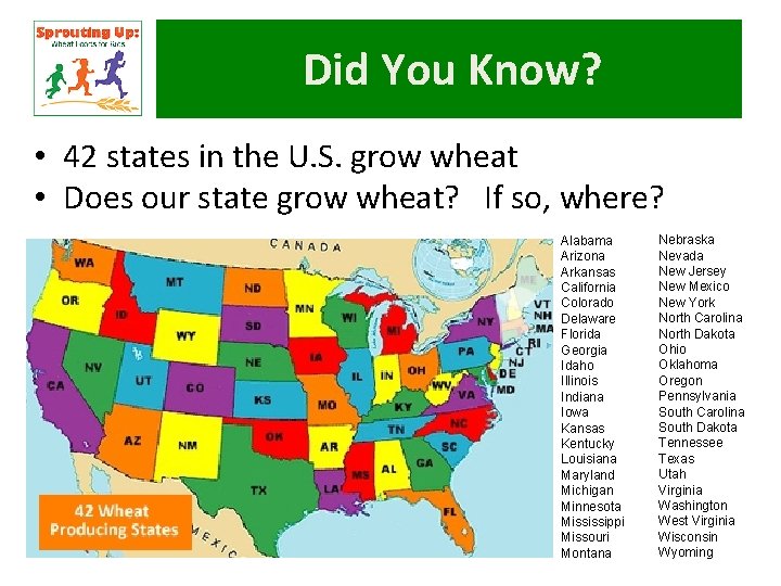 Did You Know? • 42 states in the U. S. grow wheat • Does