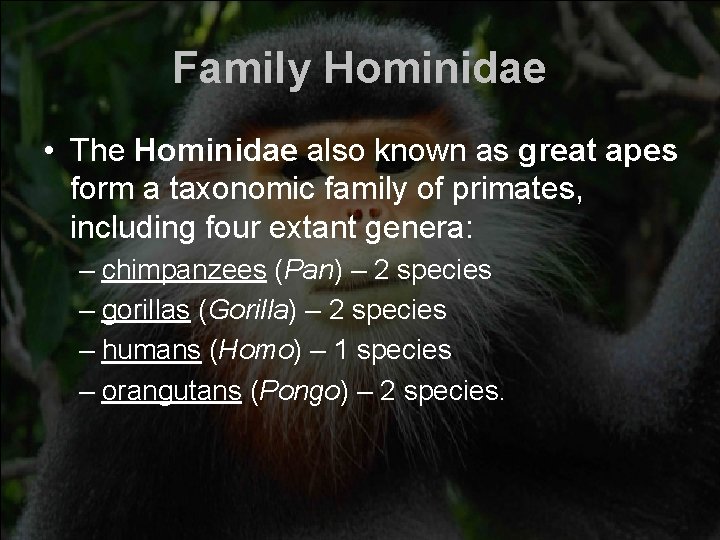 Family Hominidae • The Hominidae also known as great apes form a taxonomic family