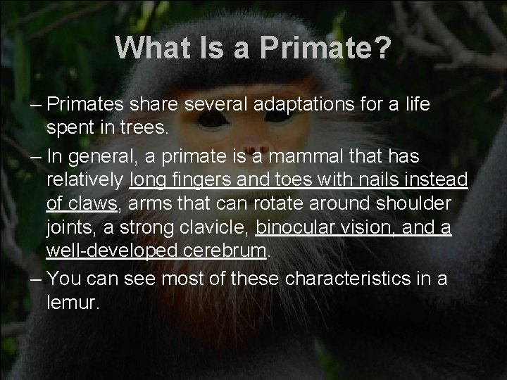 What Is a Primate? – Primates share several adaptations for a life spent in
