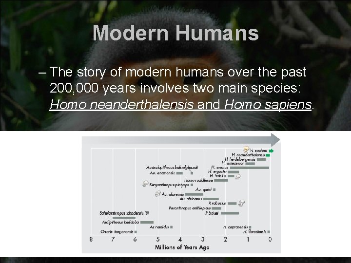 Modern Humans – The story of modern humans over the past 200, 000 years