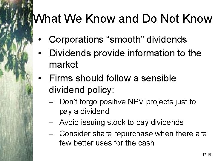 What We Know and Do Not Know • Corporations “smooth” dividends • Dividends provide