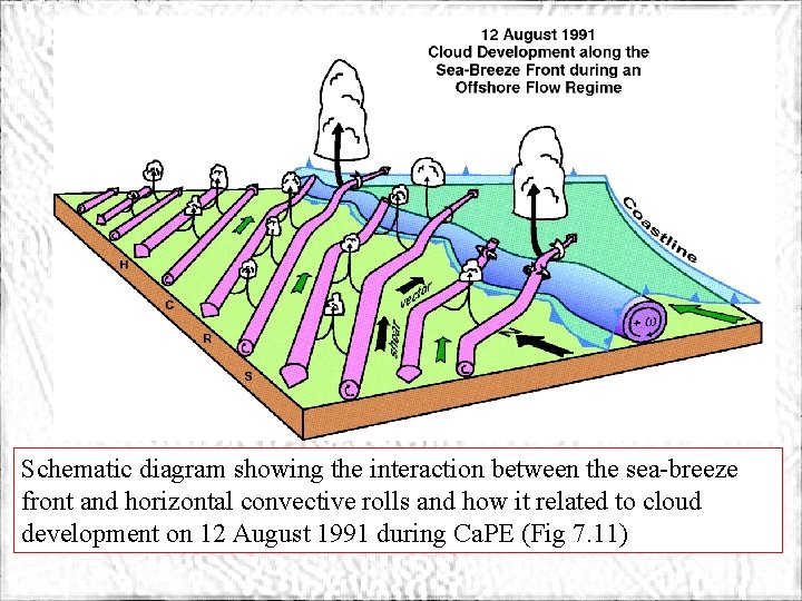 ATMS 316 - Convection Initiation Schematic diagram showing the interaction between the sea-breeze front
