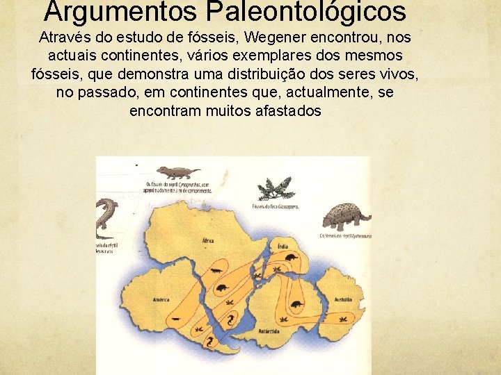 Argumentos Paleontológicos Através do estudo de fósseis, Wegener encontrou, nos actuais continentes, vários exemplares