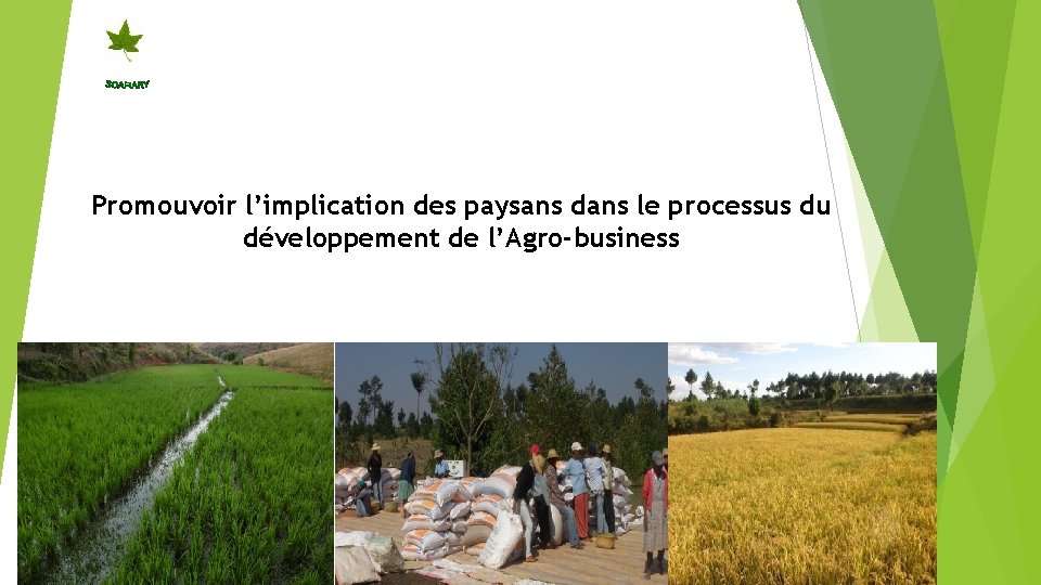 Promouvoir l’implication des paysans dans le processus du développement de l’Agro-business 