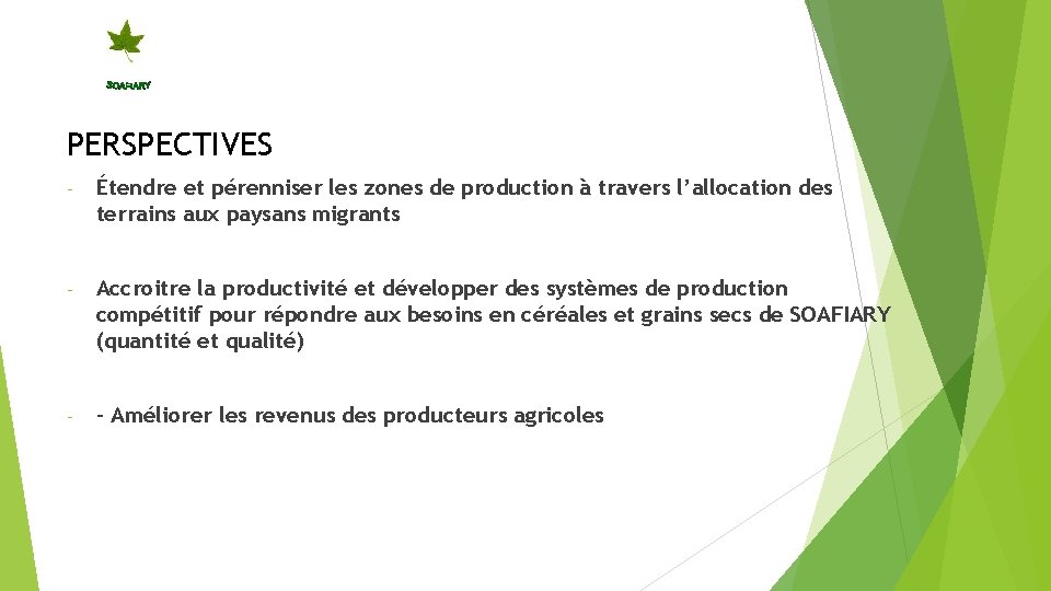 PERSPECTIVES - Étendre et pérenniser les zones de production à travers l’allocation des terrains