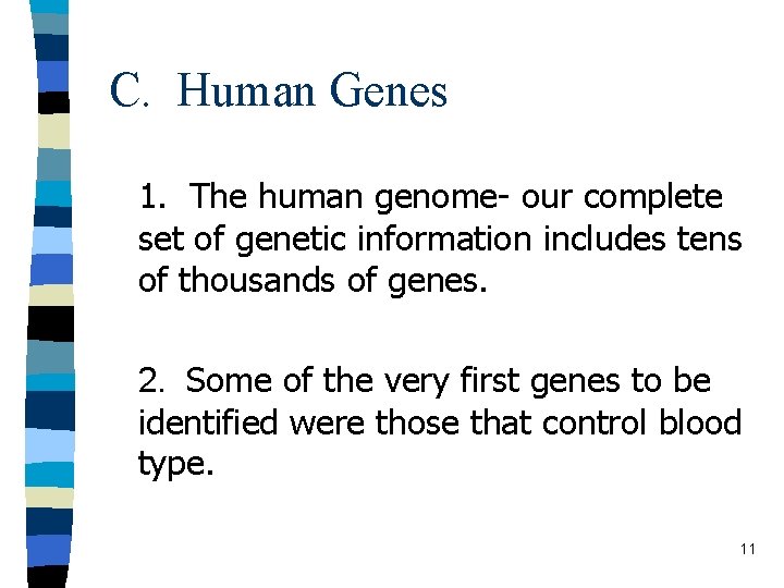 C. Human Genes 1. The human genome- our complete set of genetic information includes