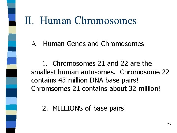 II. Human Chromosomes A. Human Genes and Chromosomes 1. Chromosomes 21 and 22 are