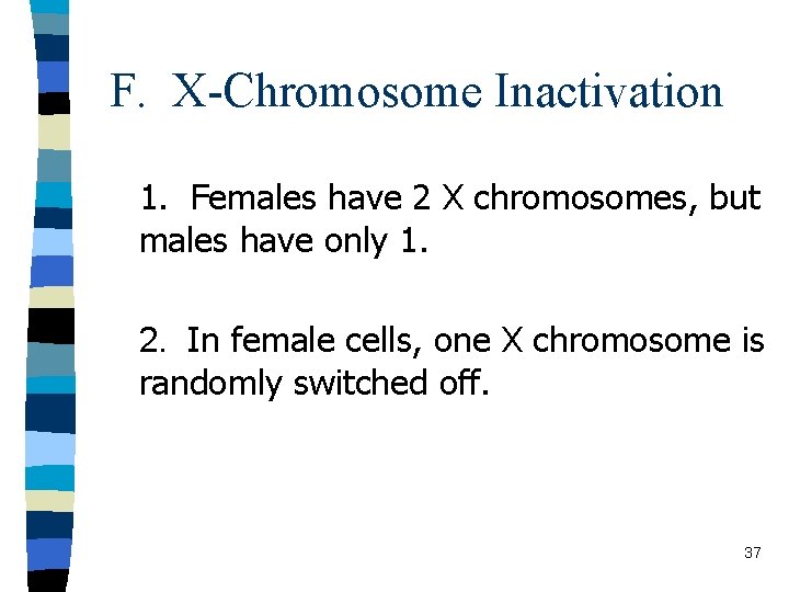 F. X-Chromosome Inactivation 1. Females have 2 X chromosomes, but males have only 1.