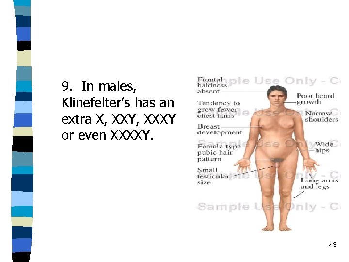 9. In males, Klinefelter’s has an extra X, XXY, XXXY or even XXXXY. 43