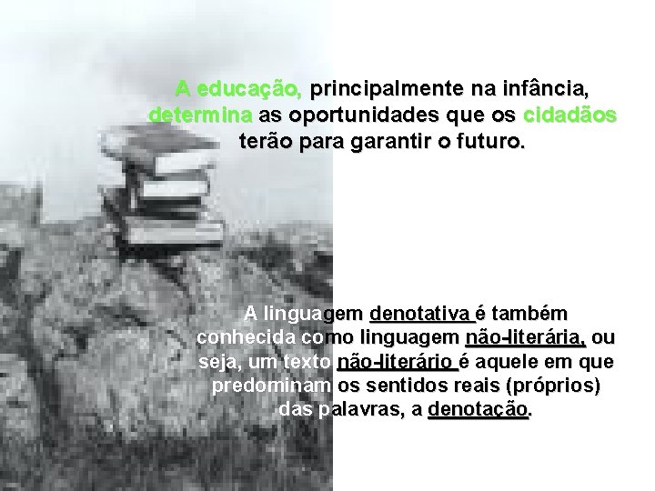 A educação, principalmente na infância, determina as oportunidades que os cidadãos terão para garantir