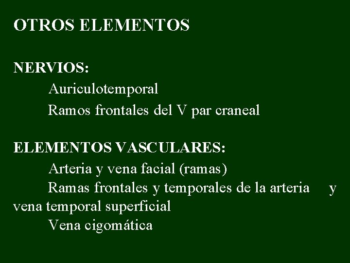 OTROS ELEMENTOS NERVIOS: Auriculotemporal Ramos frontales del V par craneal ELEMENTOS VASCULARES: Arteria y