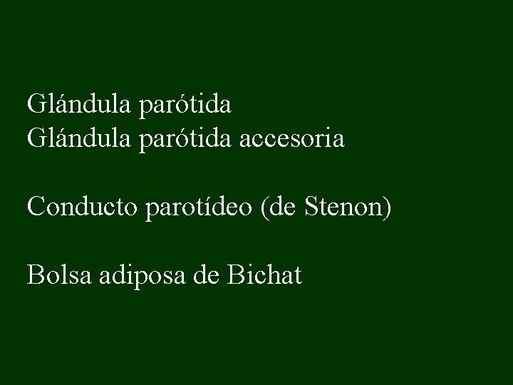 Glándula parótida accesoria Conducto parotídeo (de Stenon) Bolsa adiposa de Bichat 