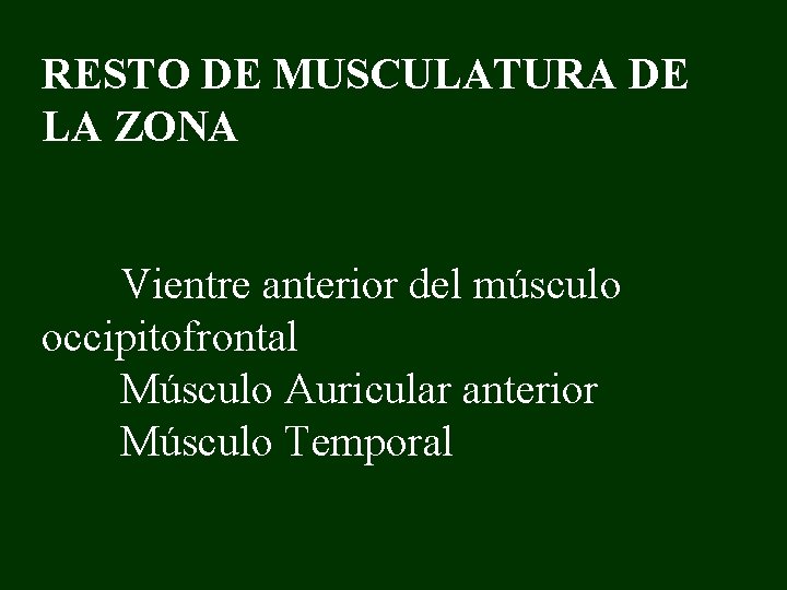 RESTO DE MUSCULATURA DE LA ZONA Vientre anterior del músculo occipitofrontal Músculo Auricular anterior