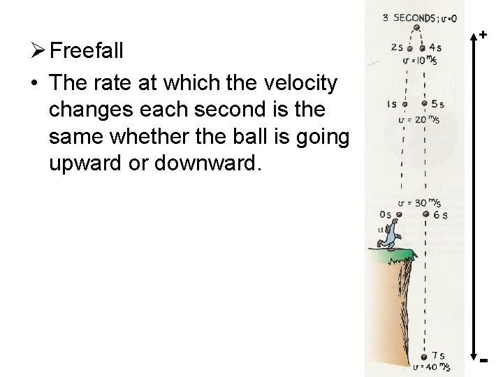 Ø Freefall • The rate at which the velocity changes each second is the