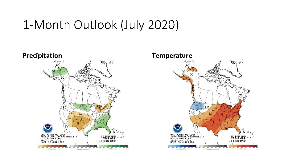 1 -Month Outlook (July 2020) Precipitation Temperature 