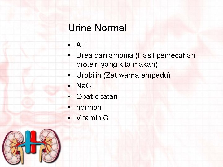 Urine Normal • Air • Urea dan amonia (Hasil pemecahan protein yang kita makan)