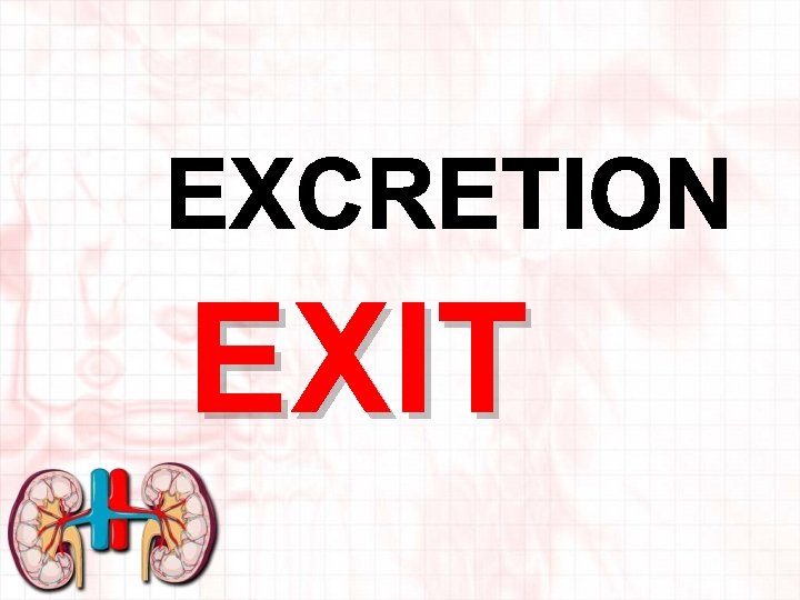 EXIT 