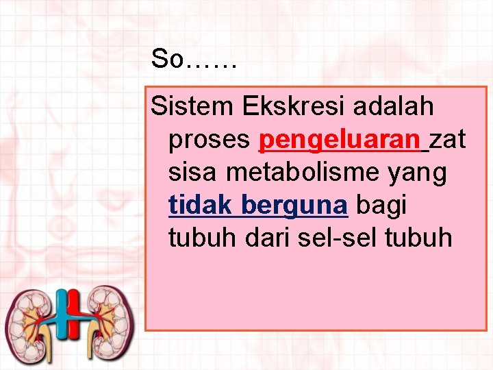 So…… Sistem Ekskresi adalah proses pengeluaran zat sisa metabolisme yang tidak berguna bagi tubuh