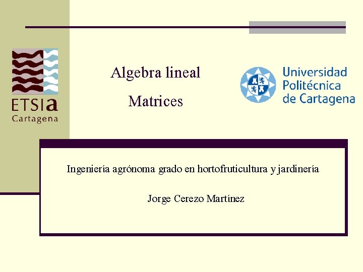 Algebra lineal Matrices Ingeniería agrónoma grado en hortofruticultura y jardinería Jorge Cerezo Martínez 