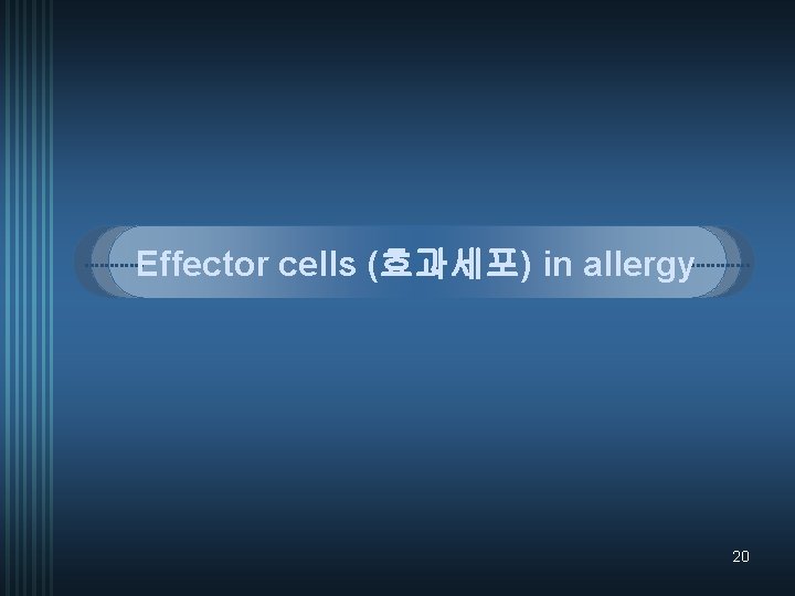 Effector cells (효과세포) in allergy 20 