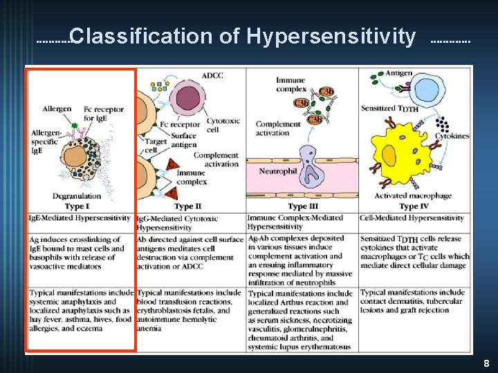 Classification of Hypersensitivity 8 