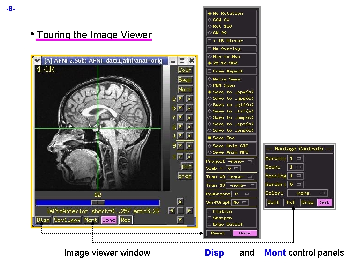 -8 - • Touring the Image Viewer Image viewer window Disp and Mont control