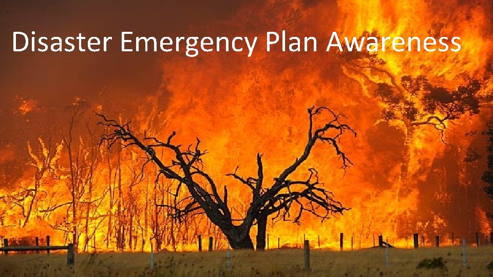 Disaster Emergency Plan Awareness 