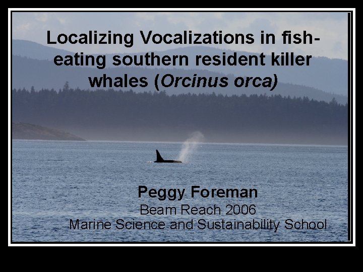 Localizing Vocalizations in fisheating southern resident killer whales (Orcinus orca) Peggy Foreman Beam Reach Localizing Vocalizations in fisheating southern resident killer whales (Orcinus orca) Peggy Foreman Beam Reach