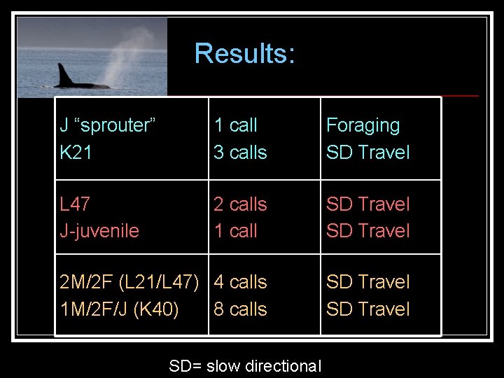 Results: J “sprouter” K 21 1 call 3 calls Foraging SD Travel L 47 Results: J “sprouter” K 21 1 call 3 calls Foraging SD Travel L 47