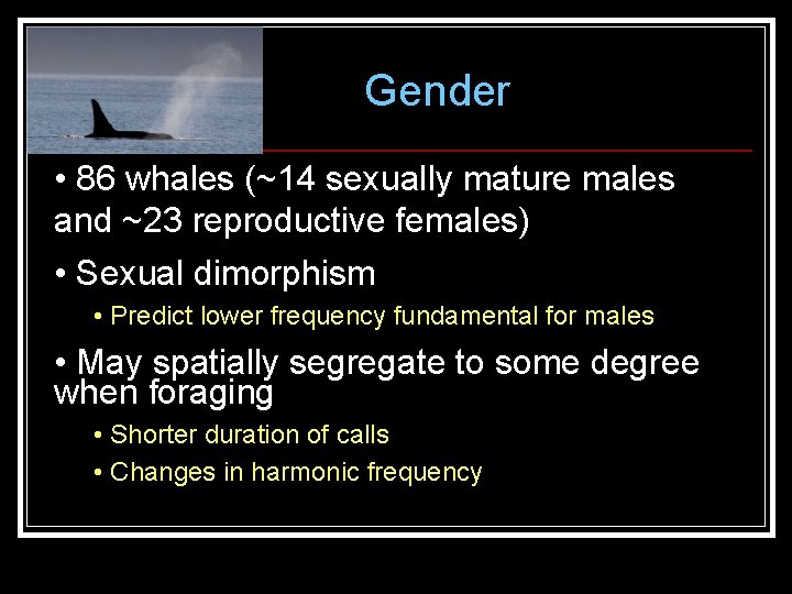 Gender • 86 whales (~14 sexually mature males and ~23 reproductive females) • Sexual Gender • 86 whales (~14 sexually mature males and ~23 reproductive females) • Sexual