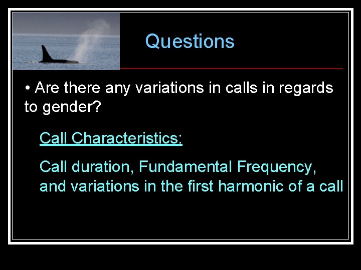 Questions • Are there any variations in calls in regards to gender? Call Characteristics: Questions • Are there any variations in calls in regards to gender? Call Characteristics: