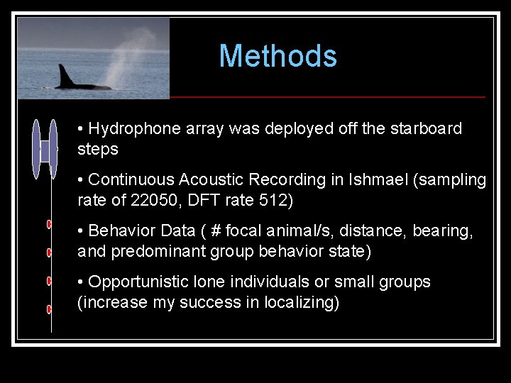 Methods • Hydrophone array was deployed off the starboard steps • Continuous Acoustic Recording Methods • Hydrophone array was deployed off the starboard steps • Continuous Acoustic Recording