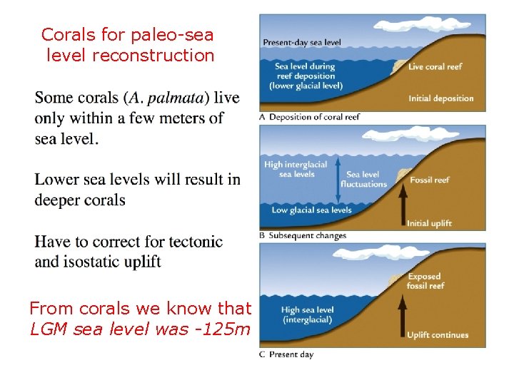 Corals for paleo-sea level reconstruction From corals we know that LGM sea level was