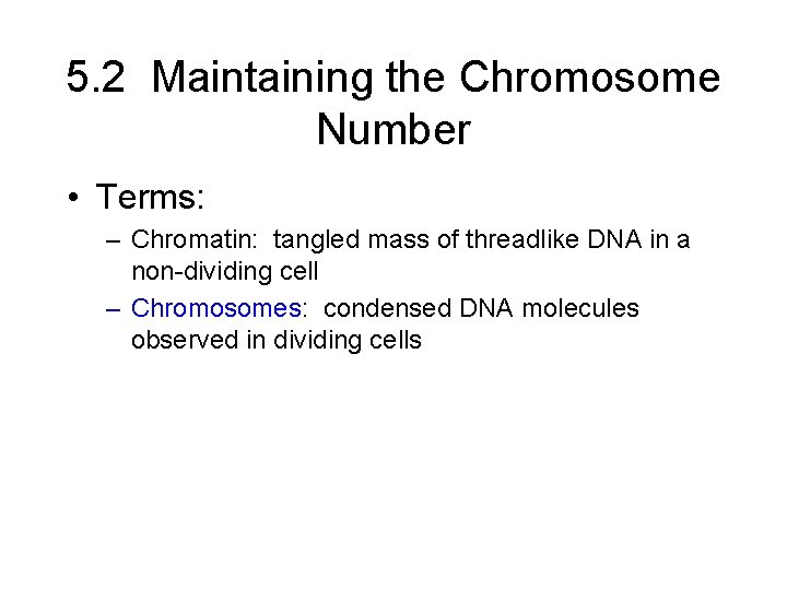 5. 2 Maintaining the Chromosome Number • Terms: – Chromatin: tangled mass of threadlike