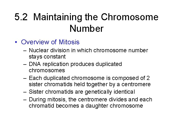 5. 2 Maintaining the Chromosome Number • Overview of Mitosis – Nuclear division in