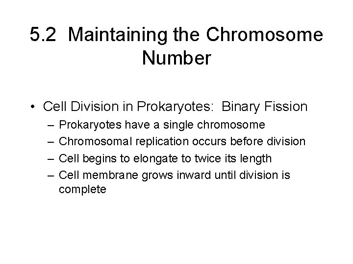 5. 2 Maintaining the Chromosome Number • Cell Division in Prokaryotes: Binary Fission –