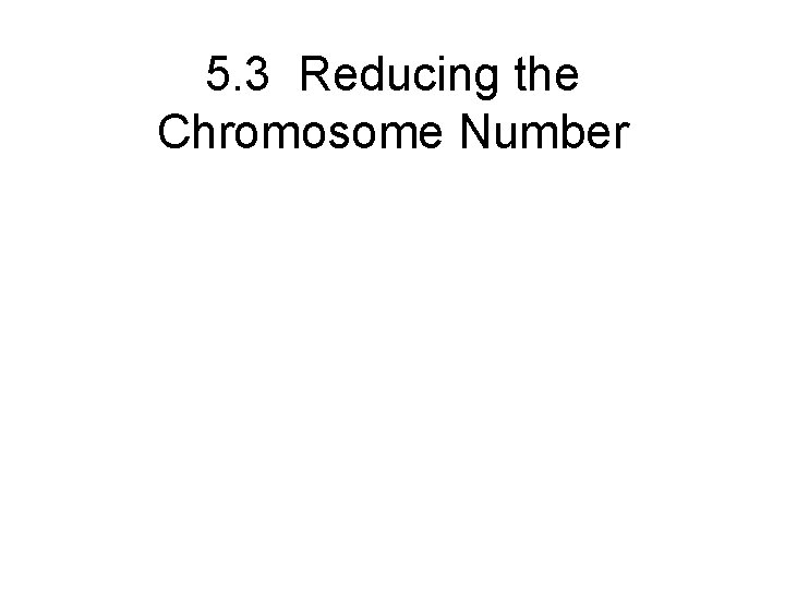 5. 3 Reducing the Chromosome Number 