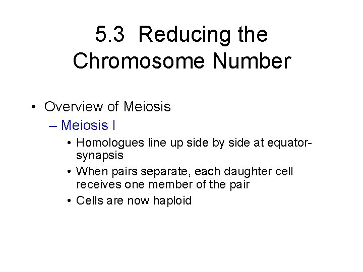 5. 3 Reducing the Chromosome Number • Overview of Meiosis – Meiosis I •