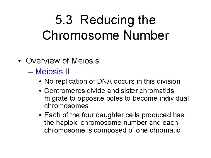 5. 3 Reducing the Chromosome Number • Overview of Meiosis – Meiosis II •