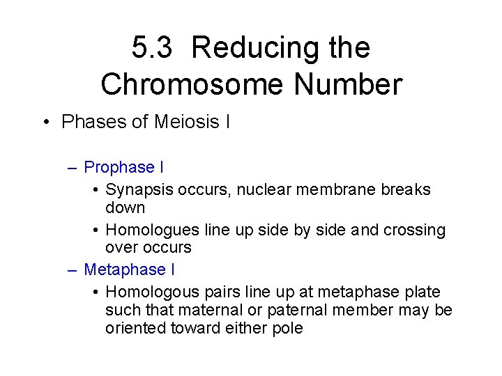 5. 3 Reducing the Chromosome Number • Phases of Meiosis I – Prophase I