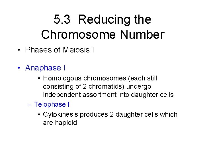 5. 3 Reducing the Chromosome Number • Phases of Meiosis I • Anaphase I