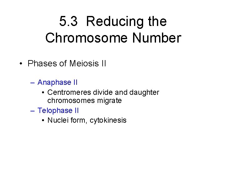 5. 3 Reducing the Chromosome Number • Phases of Meiosis II – Anaphase II