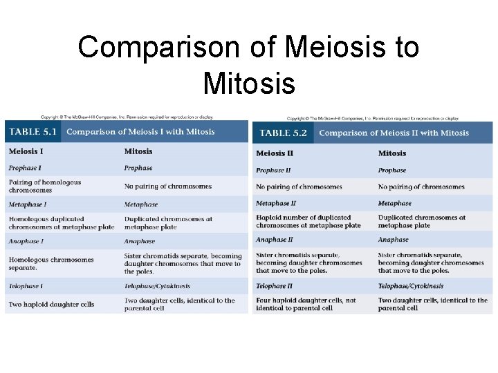 Comparison of Meiosis to Mitosis 