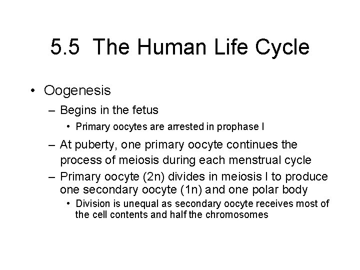 5. 5 The Human Life Cycle • Oogenesis – Begins in the fetus •