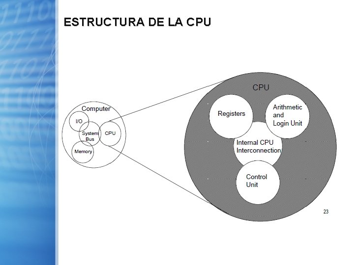 ESTRUCTURA DE LA CPU 