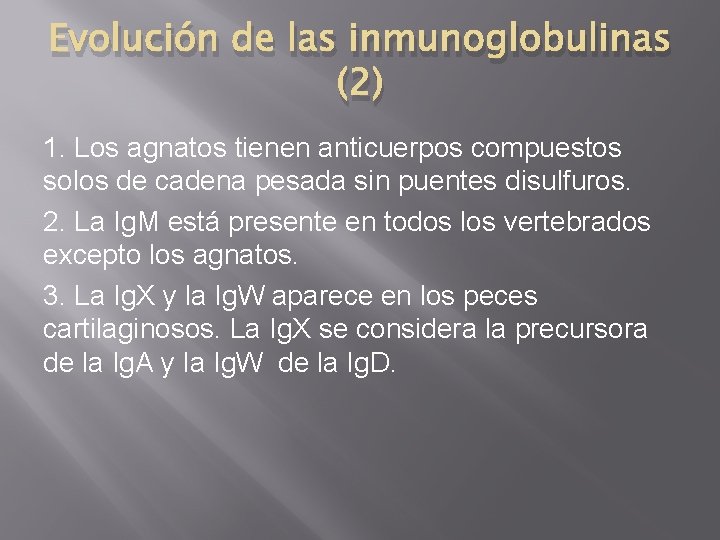 Evolución de las inmunoglobulinas (2) 1. Los agnatos tienen anticuerpos compuestos solos de cadena