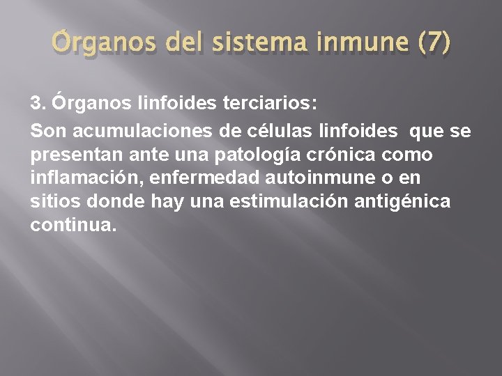 Órganos del sistema inmune (7) 3. Órganos linfoides terciarios: Son acumulaciones de células linfoides